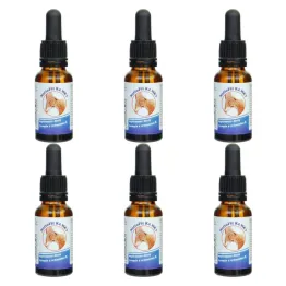 6 x Witamina K2MK7 Krople NattoFit 20 ml - Proved