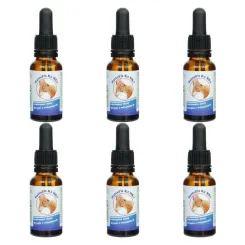 6 x Witamina K2MK7 Krople NattoFit 20 ml - Proved