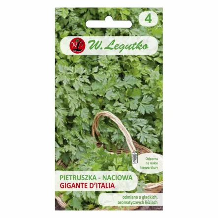 Pietruszka Naciowa - Gigante d'Italia 2 g - Legutko