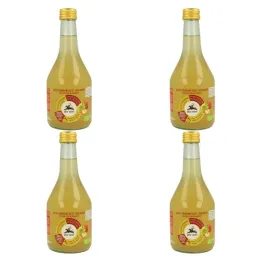 Zestaw 4 x Ocet Jabłkowy Niefiltrowany Niepasteryzowany Bio 500 ml - Alce Nero