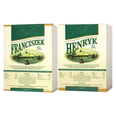Zestaw Woda Lecznicza 5 l FRANCISZEK + Woda Lecznicza 5 l HENRYK - Uzdrowisko Wysowa