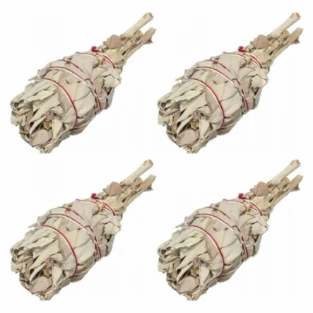 4 x Biała Szałwia Pęczek 15-20 g  Salvia Apiana