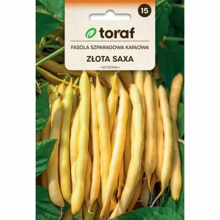 Fasola Szparagowa Karłowa ZŁOTA SAXA Nasiona 50 g - Toraf