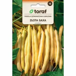 Fasola Szparagowa Karłowa ZŁOTA SAXA Nasiona 50 g - Toraf