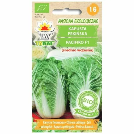 Kapusta Pekińska PACIFIKO F1 BIO Nasiona 10 Sztuk - Toraf
