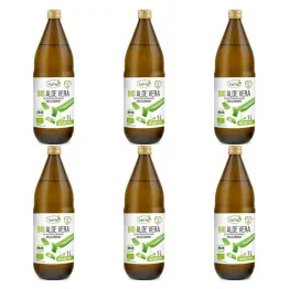 6 x Bio Aloe Vera Sok Bezpośrednio Wyciskany 1200 mg Aloewerozy 1 l - Natvita