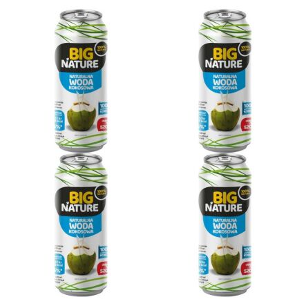 4 x Woda Kokosowa 520 ml - Big Nature