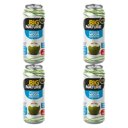 4 x Woda Kokosowa 520 ml - Big Nature