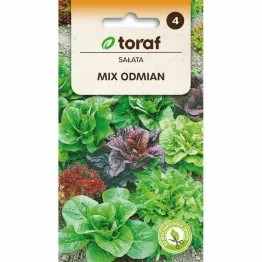 Sałata MIX ODMIAN Nasiona 1 g - Toraf