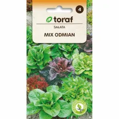 Sałata MIX ODMIAN Nasiona 1 g - Toraf