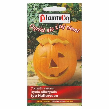 Dynia Olbrzymia - Typ Halloween Nasiona 2 g - PlantiCo