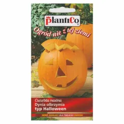 Dynia Olbrzymia - Typ Halloween Nasiona 2 g - PlantiCo