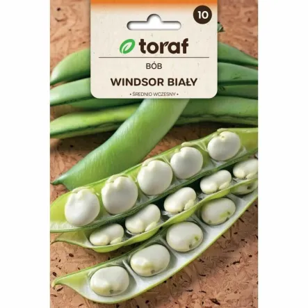 Bób WINDSOR Biały Nasiona 50 g - Toraf