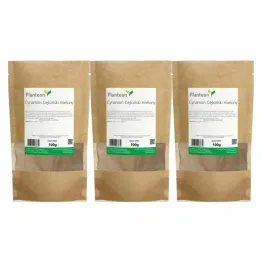 3 x Cynamon Cejloński Mielony 100 g - Planteon