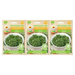 3 x Nasiona na Kiełki Rukola BIO 10 g - Toraf