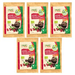 5 x Budyń o Smaku Czekoladowym z Żurawiną Bio 40 g - Vitally Food