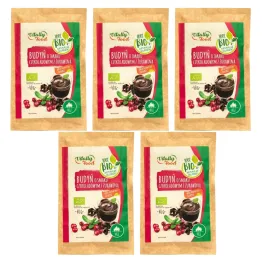 5 x Budyń o Smaku Czekoladowym z Żurawiną Bio 40 g - Vitally Food