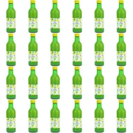 24 x Sok z Cytryn NFC Bio 250 ml - Bio Planet - Sok z Cytryny Eko