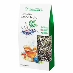 Herbatka Owocowo - Ziołowa LEŚNA NUTA 80 g -  Herbapol Wrocław