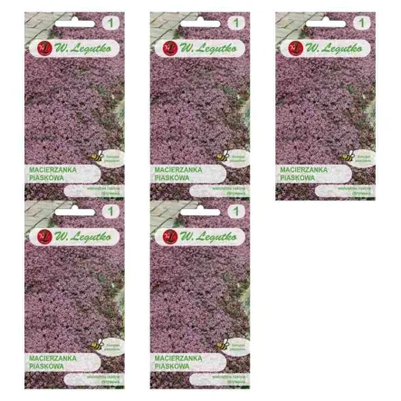 5 x Macierzanka Piaskowa Lilaróżowa Nasiona 0,1 g - Legutko