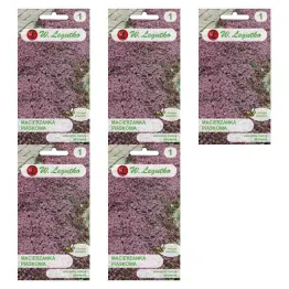 5 x Macierzanka Piaskowa Lilaróżowa Nasiona 0,1 g - Legutko