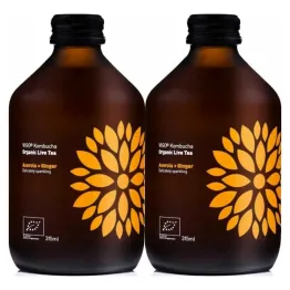2 x Kombucha Acerola + Imbir BIO Organiczna Herbata Fermentowana i Żywa 330 ml - Vigo