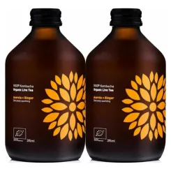 2 x Kombucha Acerola + Imbir BIO Organiczna Herbata Fermentowana i Żywa 330 ml - Vigo