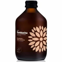 Kombucha Brzoskwinia + Trawa Cytrynowa BIO 330 ml - VIGO