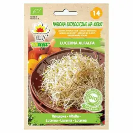 BIO Nasiona na Kiełki Lucerna ALFALFA 20 g - Toraf
