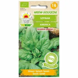 Szpinak AMERICA BIO Nasiona 10 g - Toraf