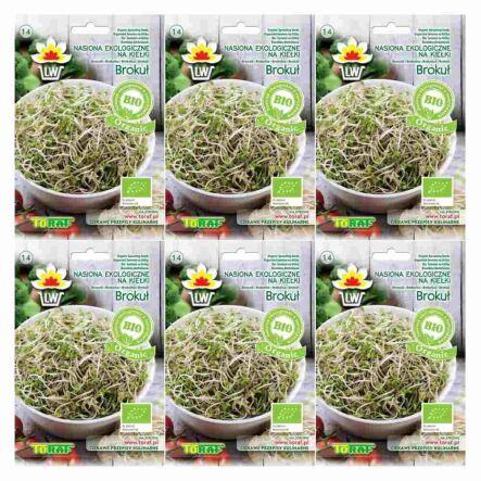 6 x Nasiona na Kiełki Brokuł BIO 10 g - Toraf