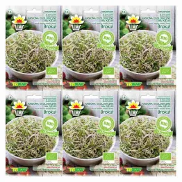 6 x Nasiona na Kiełki Brokuł BIO 10 g - Toraf