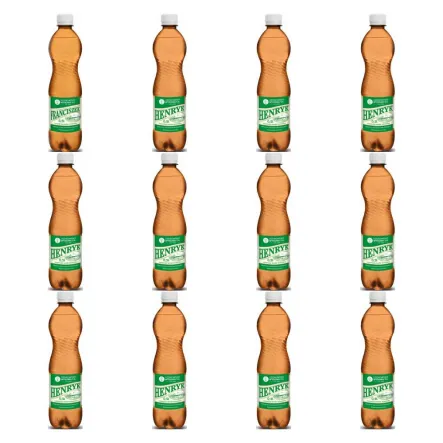 Zestaw 12 x Woda Lecznicza 0,5 l HENRYK - Uzdrowisko Wysowa