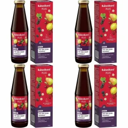 Zestaw 4 x Napój Owocowo-Ziołowy z Żelazem i Witaminami 450 ml (poprzednia nazwa Bogactwo Żelaza Plus Witaminy) - Rabenhorst