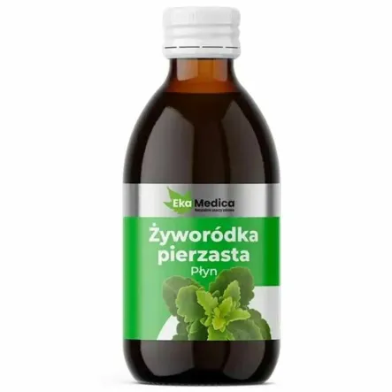 Żyworódka Pierzasta Płyn 0,25 l - Ekamedica