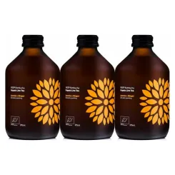 3 x Kombucha Acerola + Imbir BIO Organiczna Herbata Fermentowana i Żywa 330 ml - Vigo