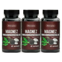 3 x Magnez 4 Formy +Witamina B6 - Czarna Rzepa 60 Kapsułek - Skoczylas