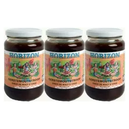 3 x Syrop ze Słodu Jęczmiennego Bio 450 g - Horizon