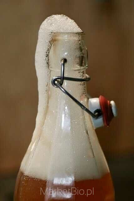 Domowy napój kombucha w stylowych naczyniach z naturalnymi dodatkami Domowy napój kombucha w stylowych naczyniach z naturalnymi dodatkami