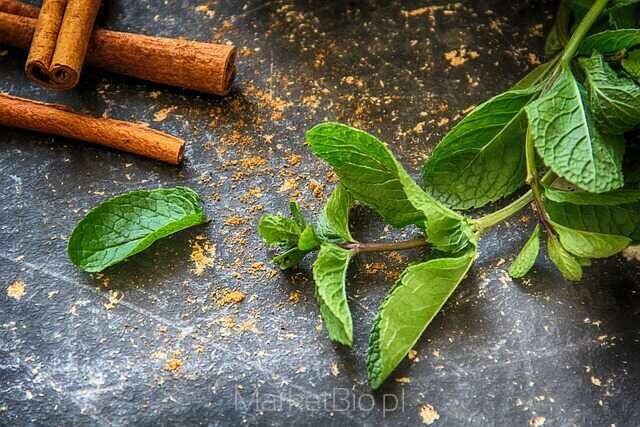 Świeża mięta – naturalne zioło o orzeźwiającym aromacie i właściwościach zdrowotnych Zbliżenie na świeże liście mięty – popularne zioło wykorzystywane w kuchni i medycynie naturalnej