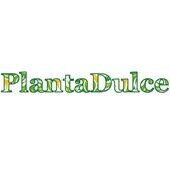 PLANTA DULCE .