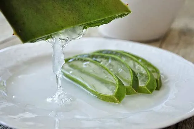 ayurveda aloe vera Organic Aloe Vera Juice 500ml | Pure Aloe Vera Drink main image 1