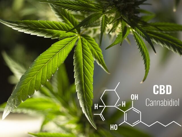 Q&A odnośnie olejków CBD