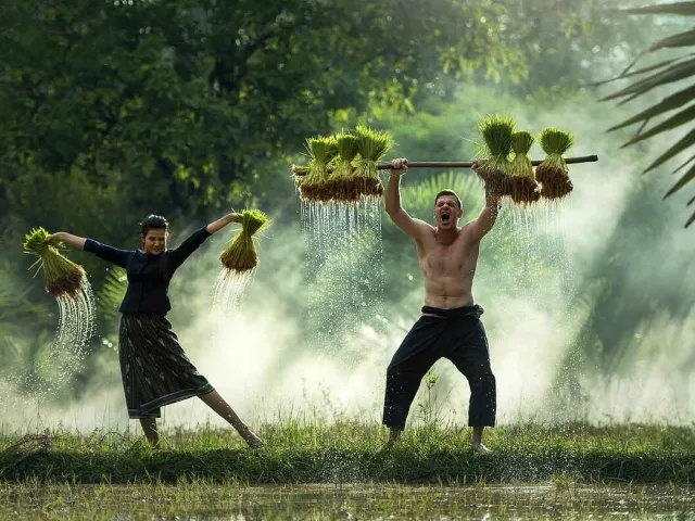 Sproszkowany sok z Młodego Jęczmienia Bio