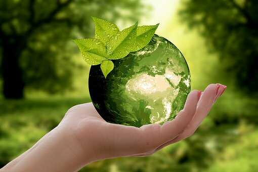 ekologia zielony sklep marketbio